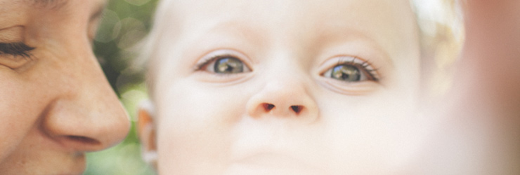 6 Steps to Create Your Will