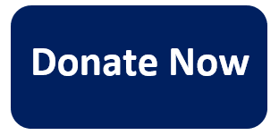 Donate Now button