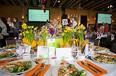 19th Annual Luncheon