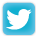 Twitter Icon