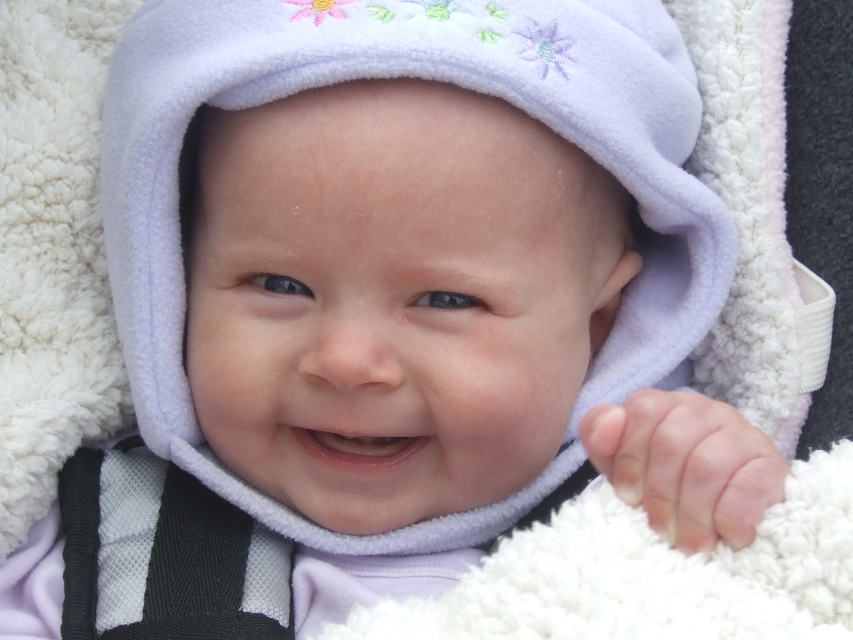 Newborn Portlet Header