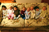 Newborns on a floral sofa